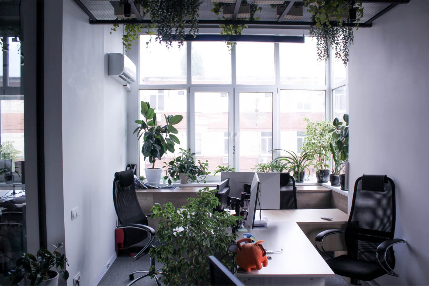 Office 12